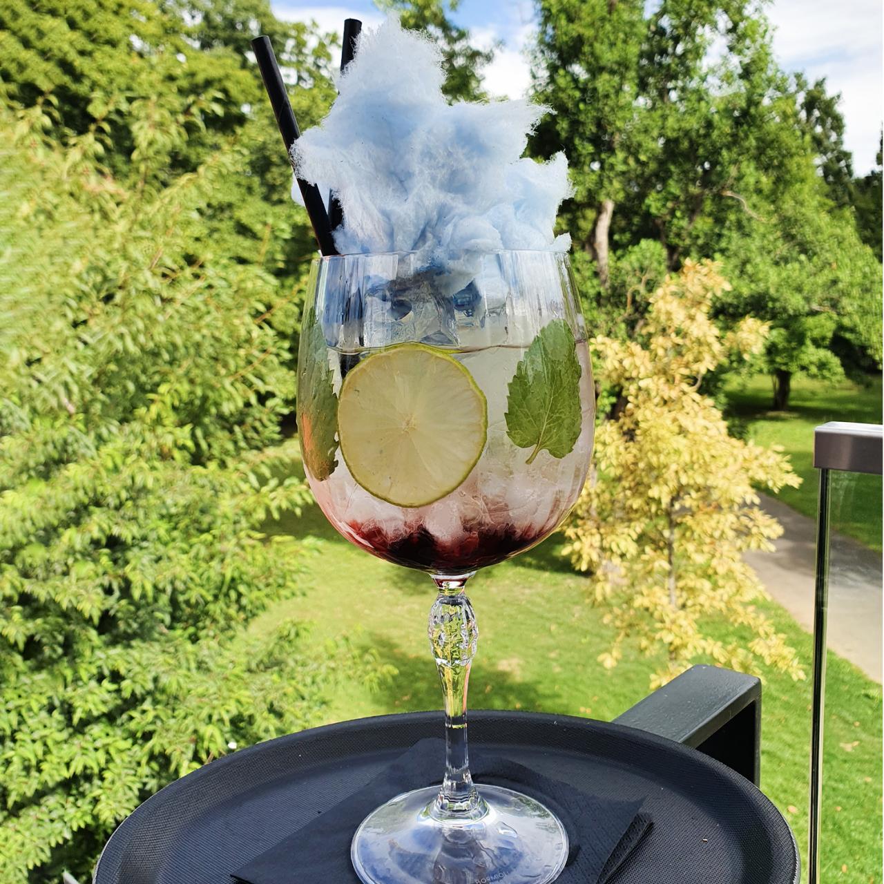 Fluffy Gin Borovnica